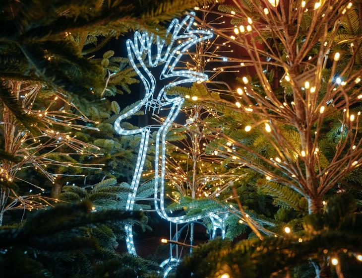 Marché de Noël à Bayeux 2022 