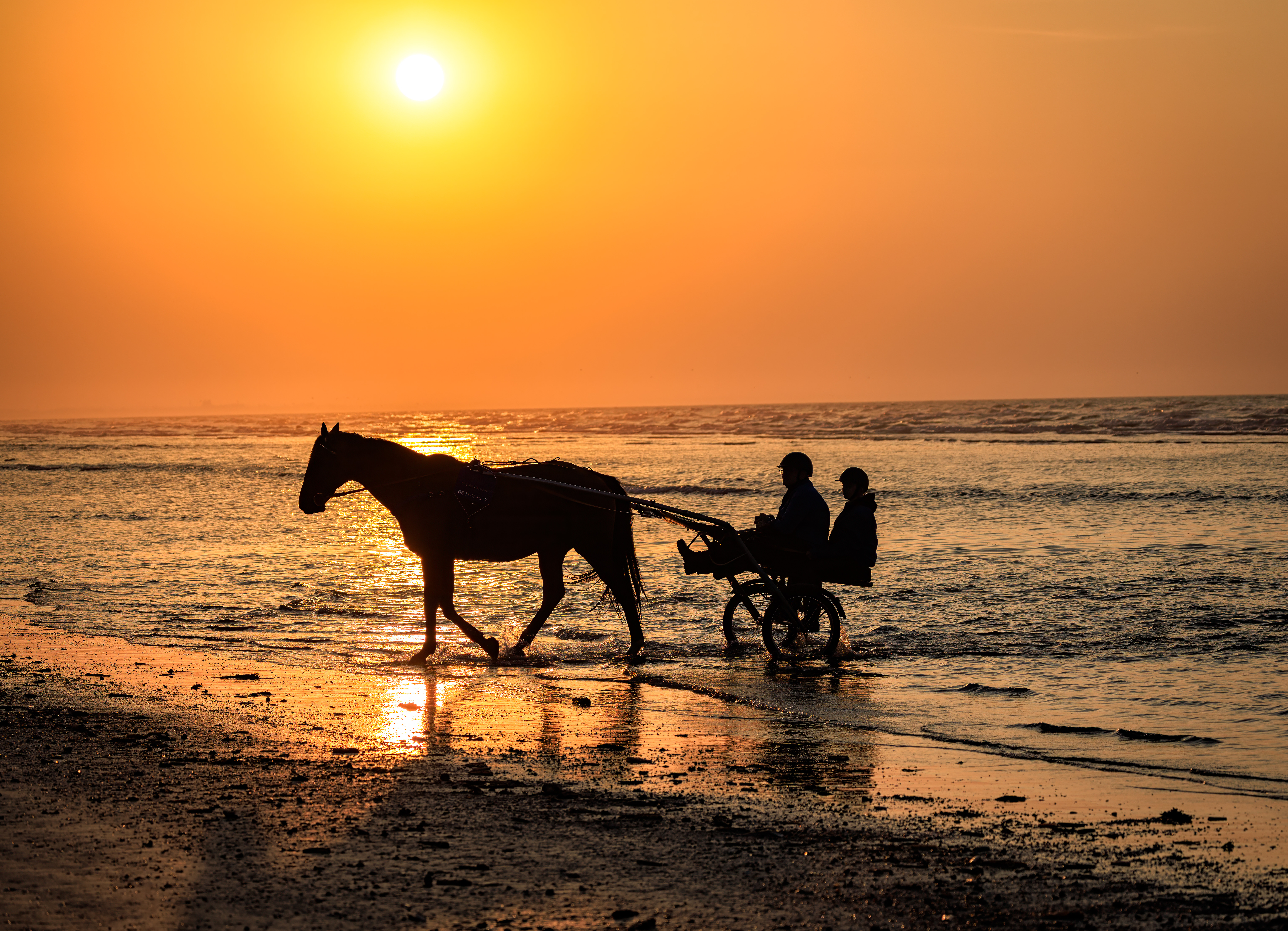 Bapteme Sulky plage Cabourg