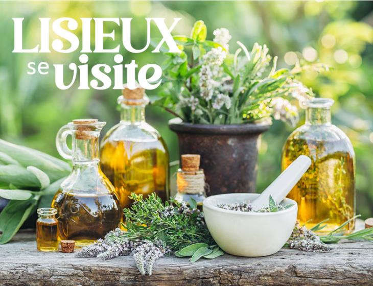 OT - Les plantes et leurs propriétés