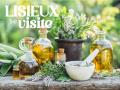 OT - Les plantes et leurs propriétés