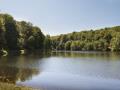 Etang du Vieux Chateau St Sever Calvados