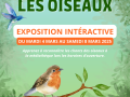 Exposition-oiseaux 