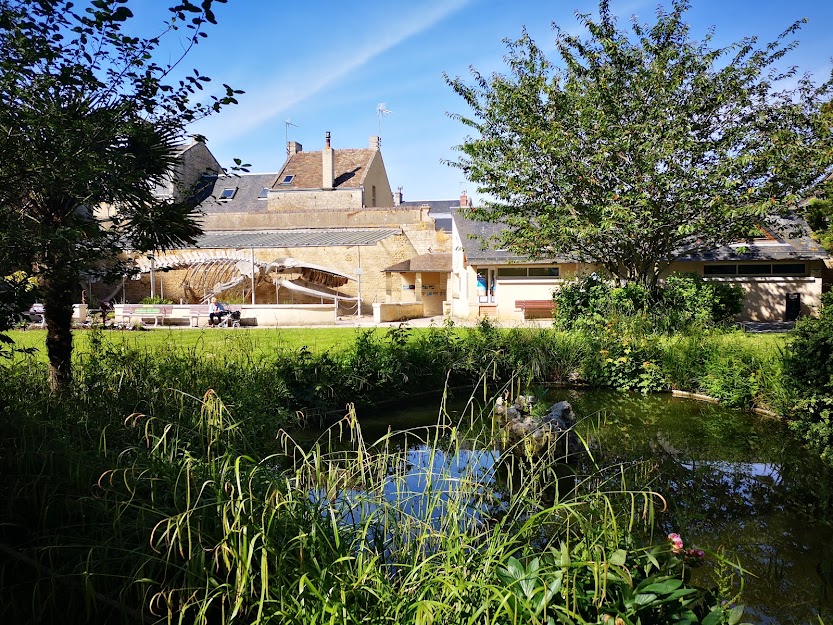 Parc de la Baleine