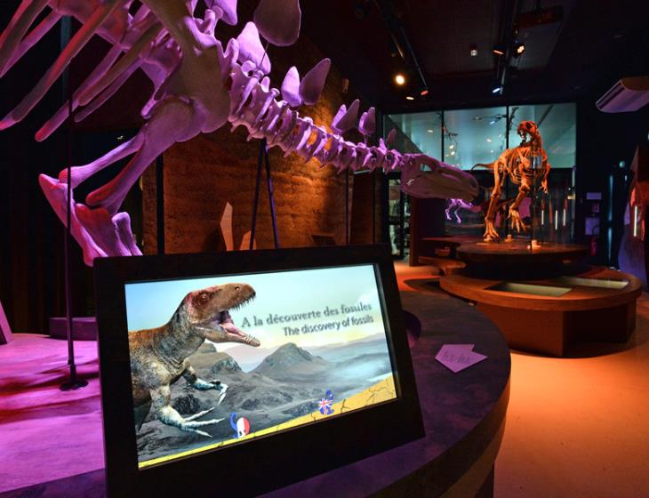 Salle des dinosaures au Paléospace, Villers sur Mer