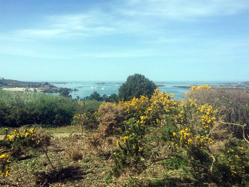 Paysage de Chausey - ©© Kite Paradise/le Menhir Paysage de Chausey - ©© Kite Paradise/le Menhir