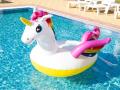 Piscine licorne