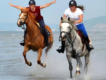 Pole-equestre---plage