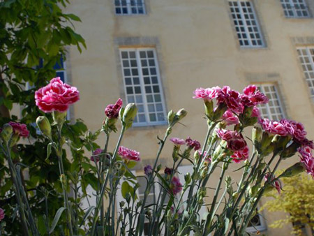 Maison d'hôtes Poppa_Jardin - ©Maison d'hôtes Poppa_Bayeux Maison d'hôtes Poppa_Jardin - ©Maison d'hôtes Poppa_Bayeux