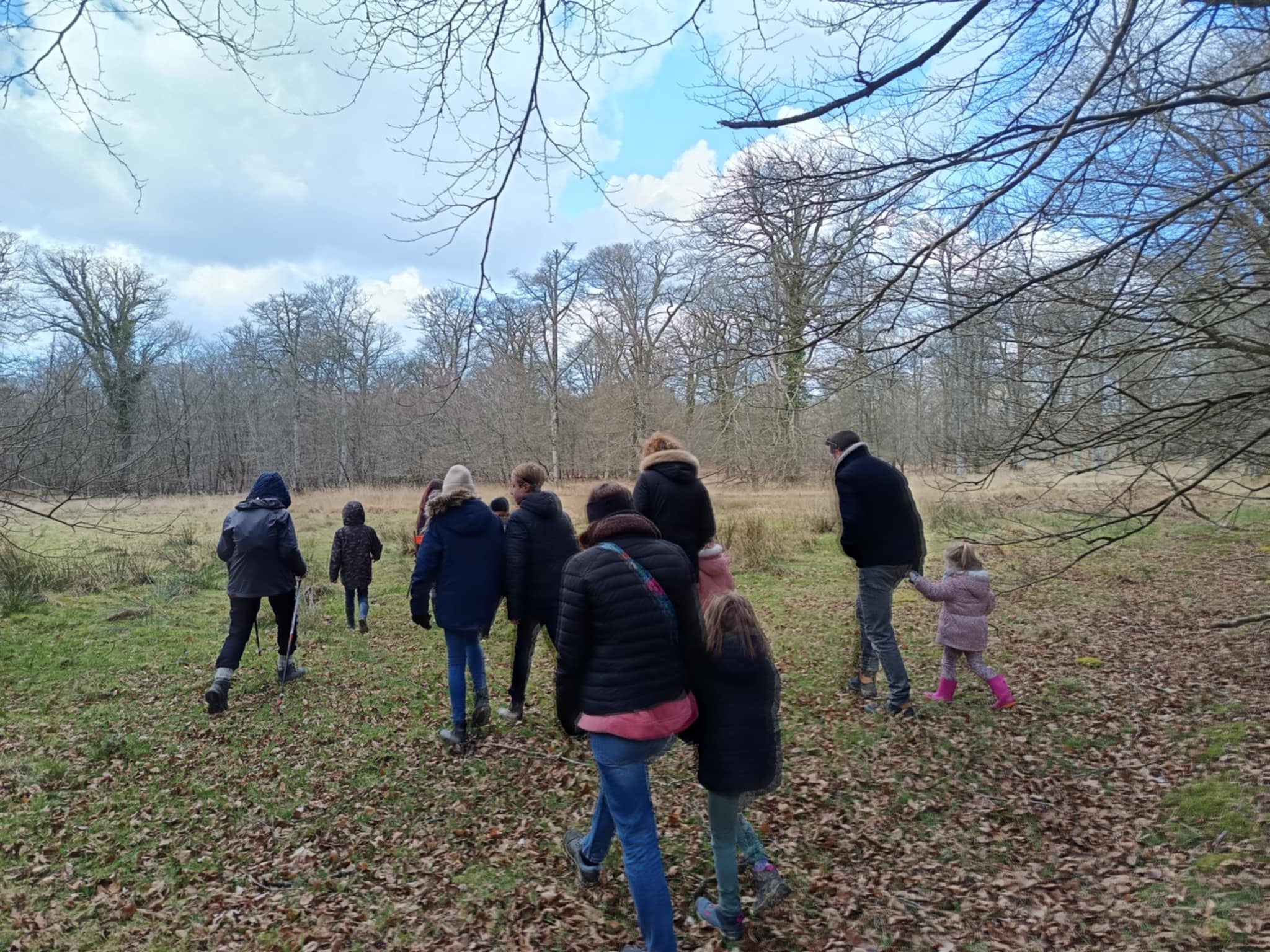   RDV créatif-MdF-grenouilles5 