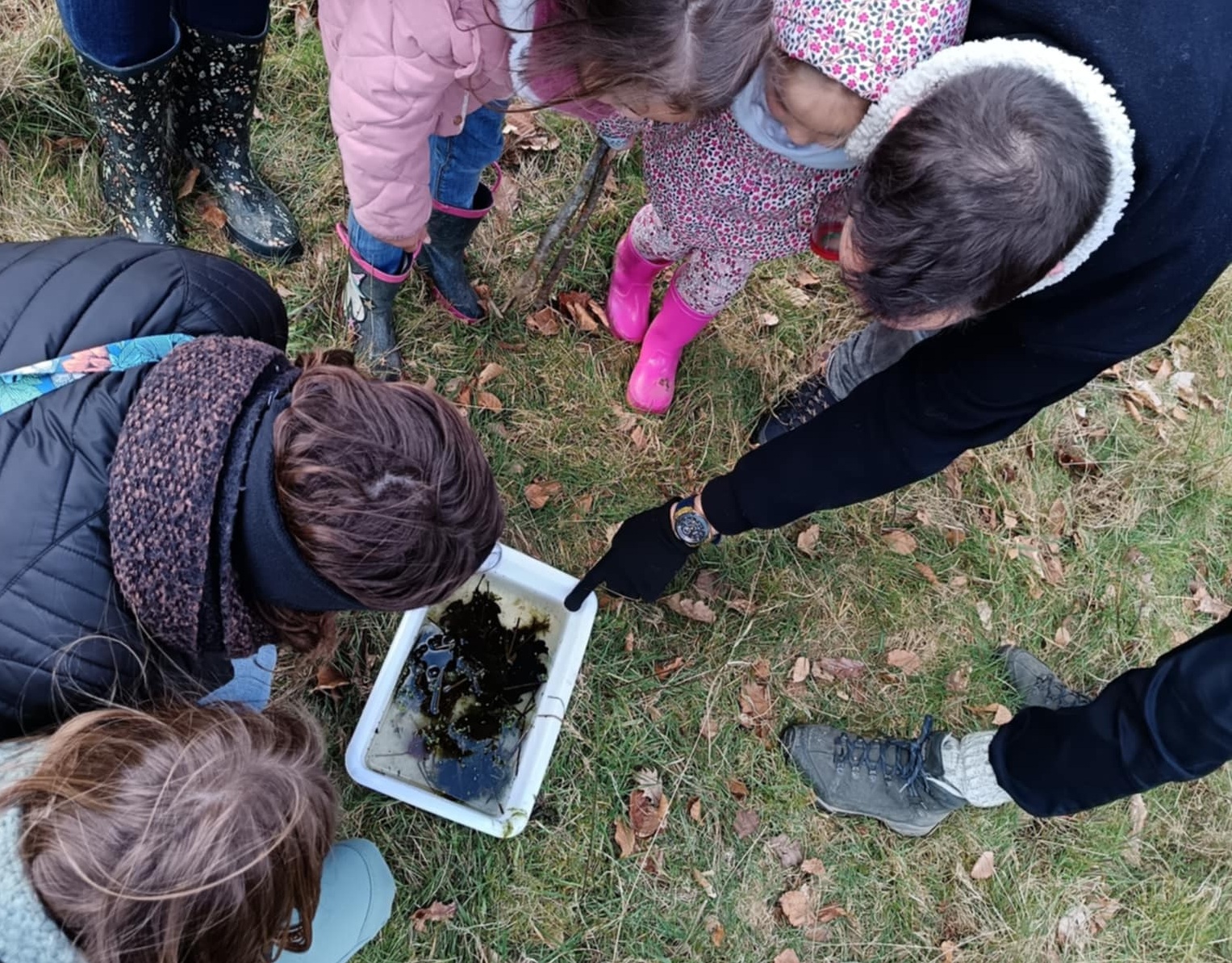   RDV créatif-MdF-grenouilles7 