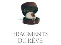 REVE-Flyer-2