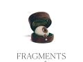 Fragments du rêve