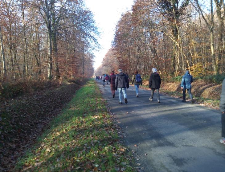 Rando Forêt de Cerisy