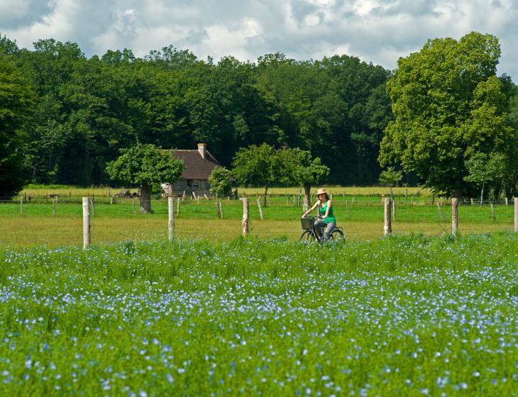 Randonnee-velo-Pays-d-Auge-2