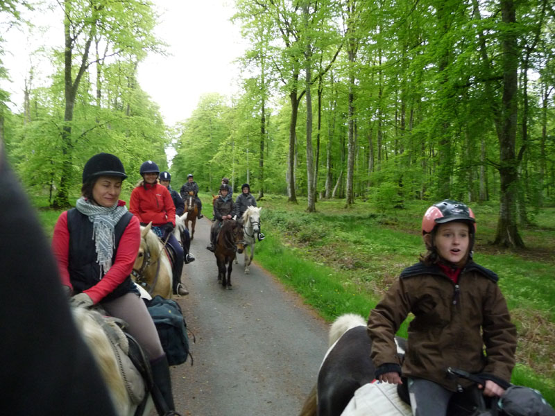 Randonnée - ©Ecurie des Perrelles Randonnée - ©Ecurie des Perrelles