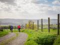 Falaise - Suisse-Normade - Balade, vélo et sport © Sabina Cowdery @anibasphotography