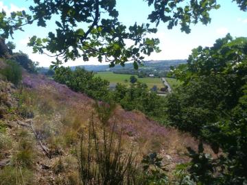 Rochers_des_parcs