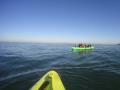 Balade en kayak sur Trouville sur Mer