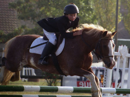 Saut d'obstacles - ©© F. Durel Saut d'obstacles - ©© F. Durel