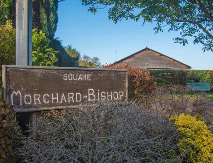 Square Morchard Bishop