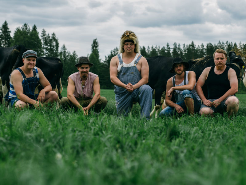 Steve'N'Seagulls ©SteveNSeagulls 800x600 - ©Steve'N'Seagulls Steve'N'Seagulls ©SteveNSeagulls 800x600 - ©Steve'N'Seagulls