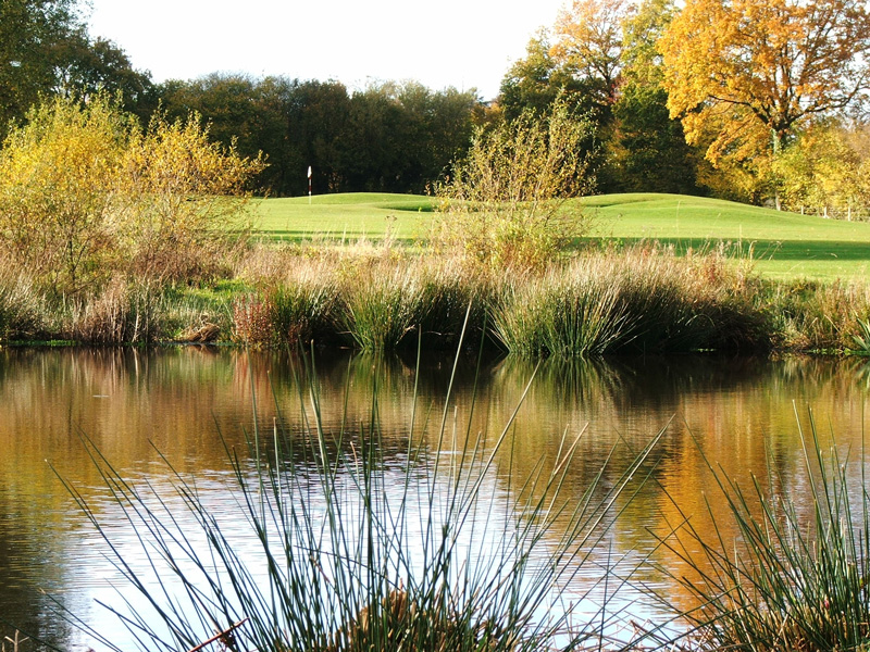 Golf de Vire la Dathée - ©Golf de Vire la Dathée Golf de Vire la Dathée - ©Golf de Vire la Dathée