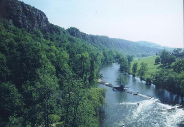 Espaces naturels GRIMBOSQ Forêt de Grimbosq Calvados Normandie