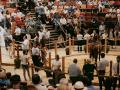 Vente yearling d'août © Arqana