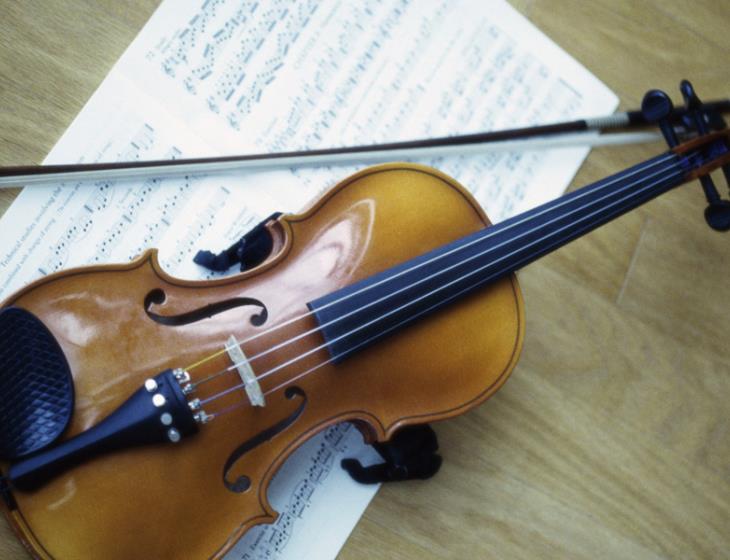 Violon