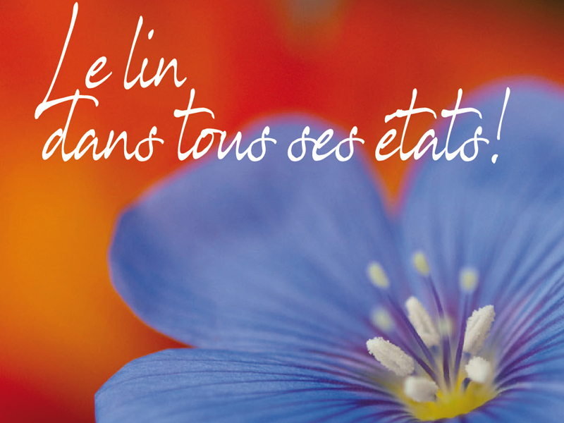 Vive le lin 1 - ©Creaculture Vive le lin 1 - ©Creaculture