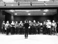Vocaline -