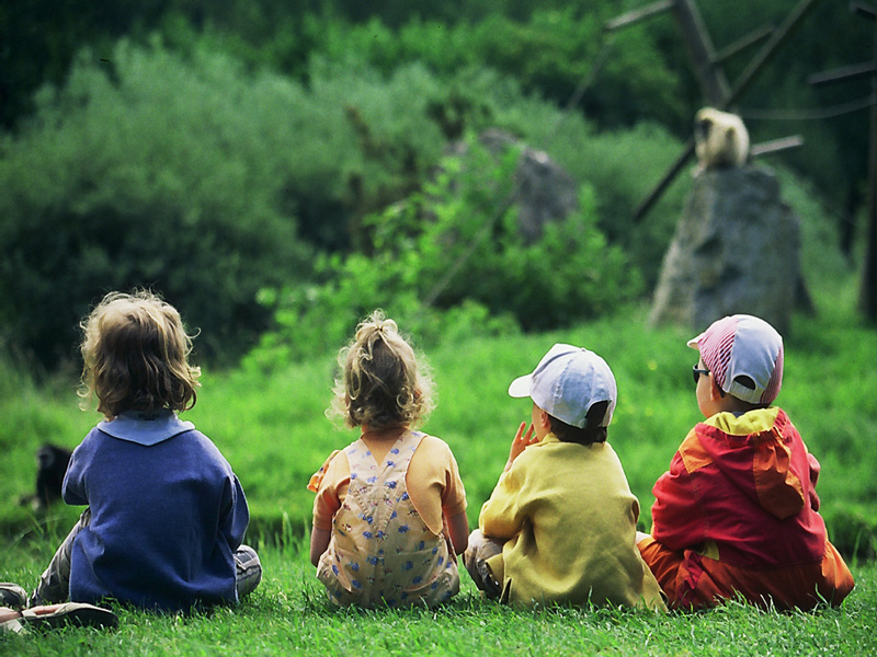 Enfants au zoo CERZA - ©CERZA - Hermival les Vaux Enfants au zoo CERZA - ©CERZA - Hermival les Vaux