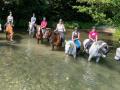 Balade Ecurie Optimum Horses 