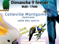 affiche bourse oiseaux