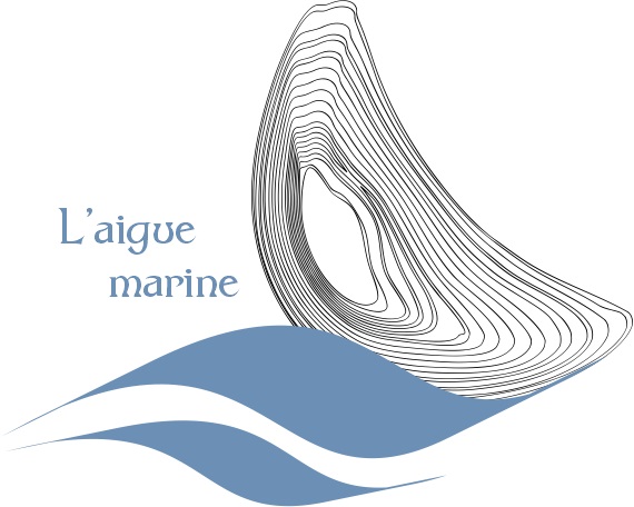 logotipo definitivo de aguamarina