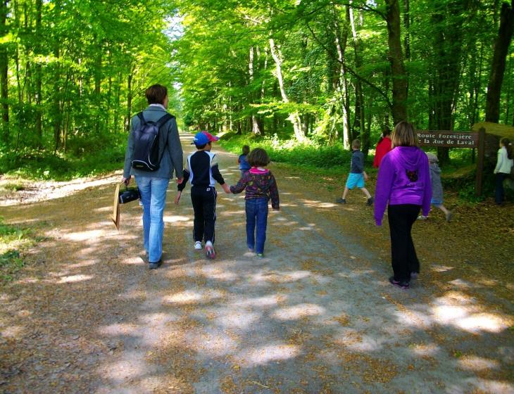 atelier-enfants-foret-IOI