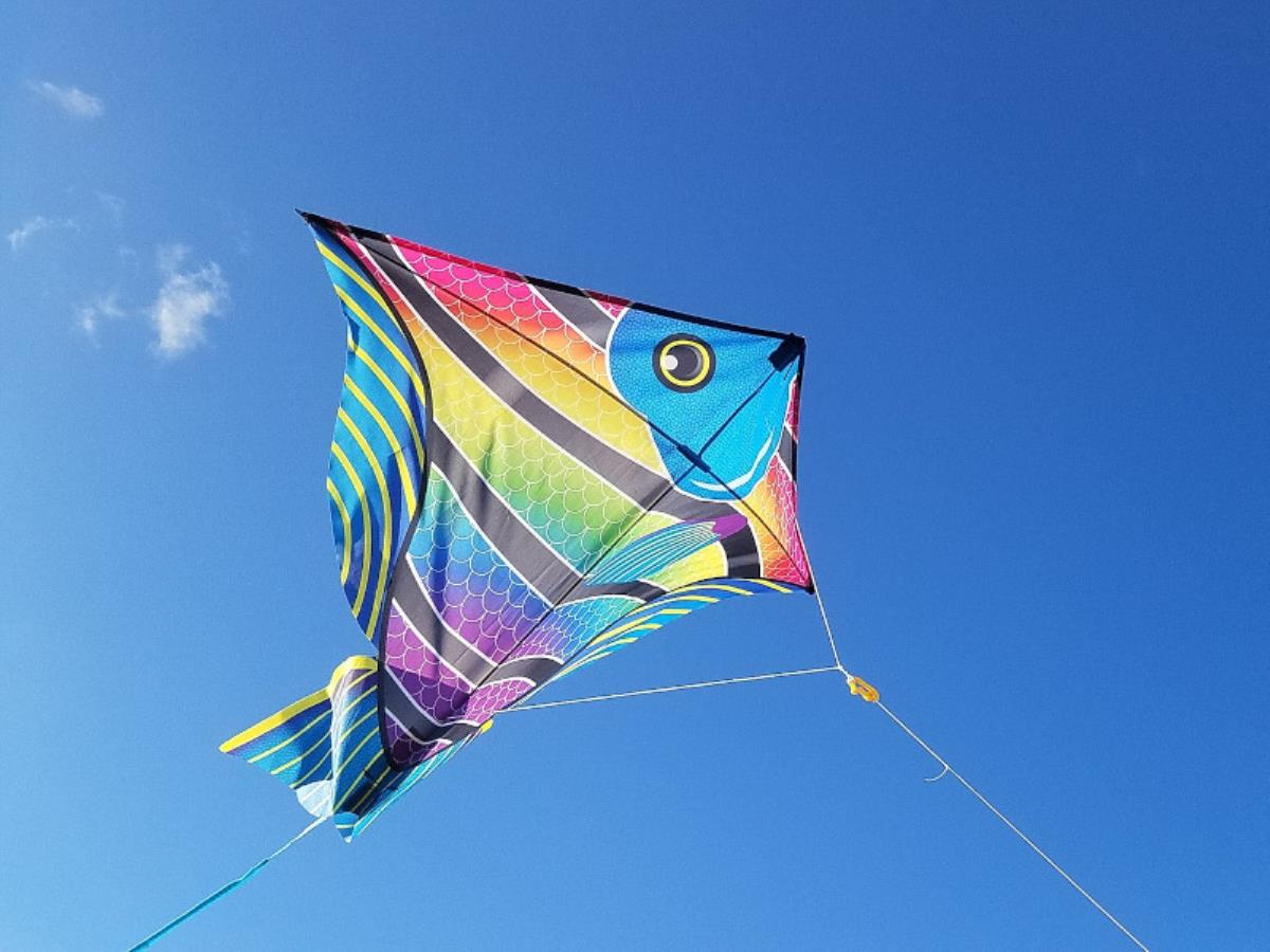 Séances de cerf-volants au Pôle Nautique Villers-Blonville - Calvados