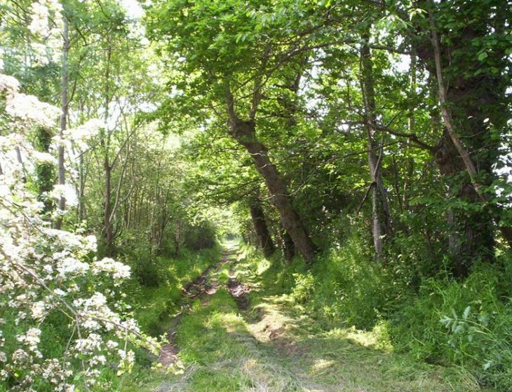 Chemin de randonnée Saint Marcouf du Rochy