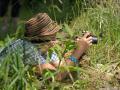 concours_photo 