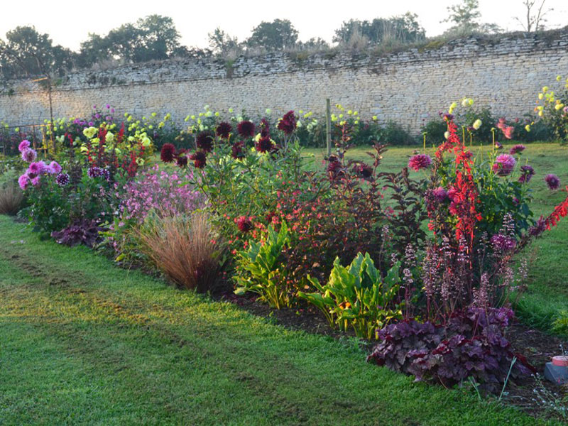 dalhias-jardin-manou-percy - ©Jardin de Manou- Percy en Auge dalhias-jardin-manou-percy - ©Jardin de Manou- Percy en Auge