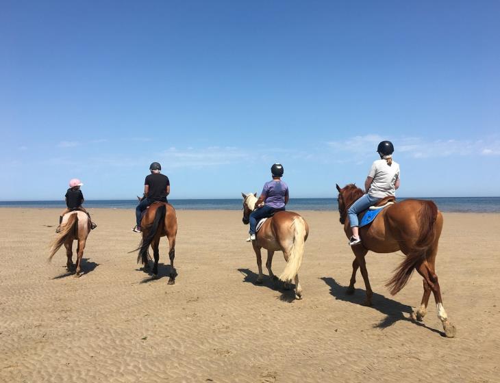 écurie du littoral - 4 chevaux