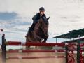 equestrian-sport-young-girl-rides-horse-championship