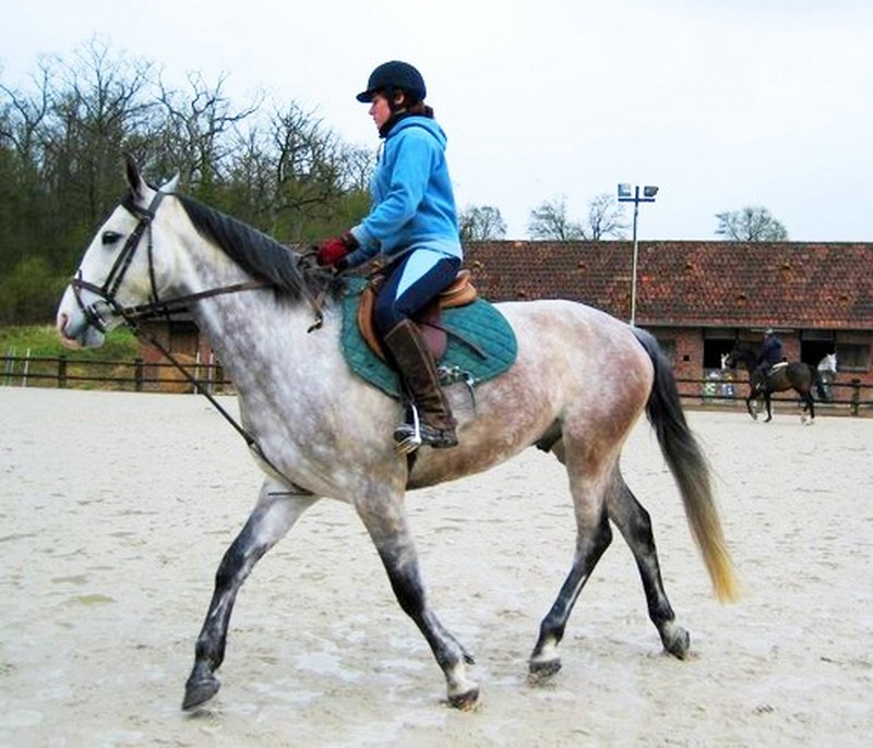 equitation-centre-equestre-le-robillard