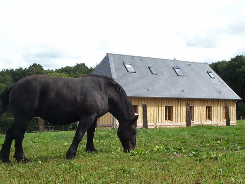 ferme-caleche-cheval - ©Ferme de la Calèche ferme-caleche-cheval - ©Ferme de la Calèche