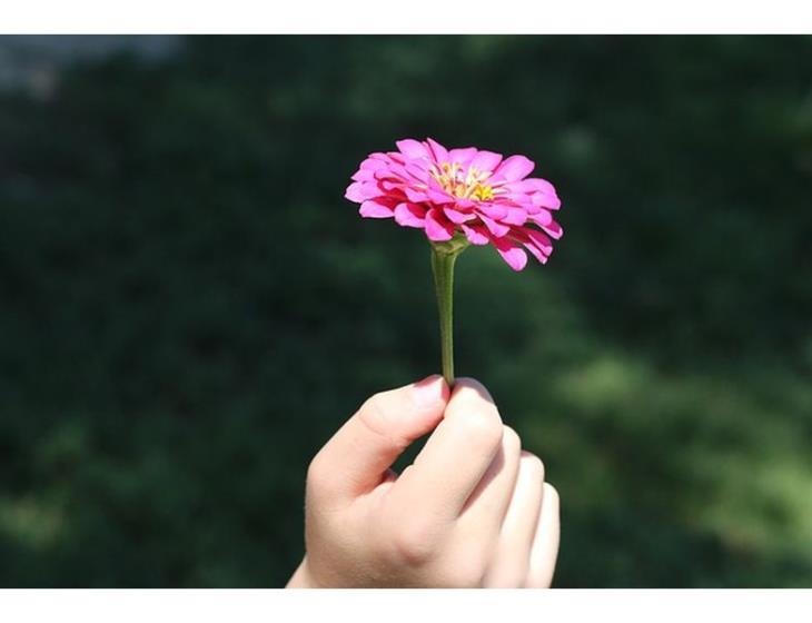 fleurs enfant