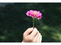 fleurs enfant