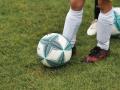 football©Planet-fox