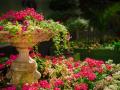 garden-670516_1280