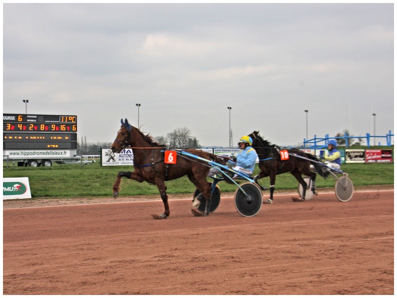 hippodrome2013 - ©société des courses hippodrome2013 - ©société des courses