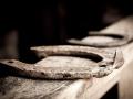 horseshoe-110987_1280